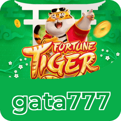 Streaming 4K no cassino ao vivo da gata777