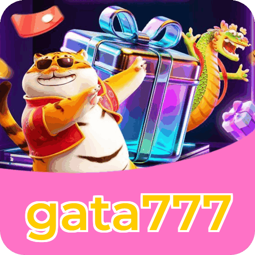 Suporte gata777